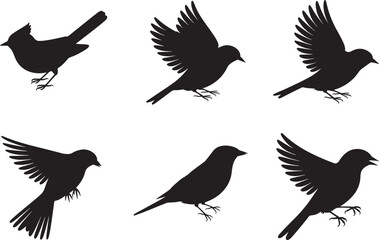 Fototapeta premium Elegant Bird Silhouettes Six Stunning Avian Designs for Projects