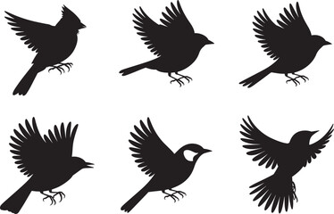 Obraz premium Silhouette Birds in Flight A Collection of Elegant Bird Silhouettes