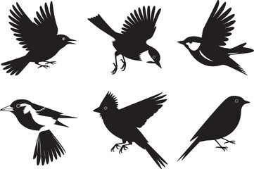 Obraz premium Collection of Six Bird Silhouettes Elegant Black and White Avian Designs