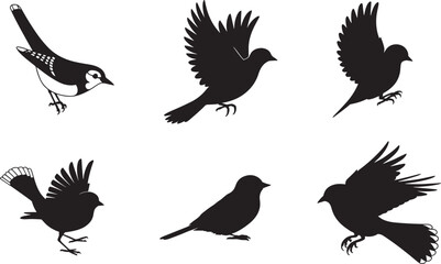 Fototapeta premium Elegant Bird Silhouettes A Collection of Six Avian Designs
