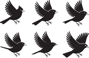 Obraz premium Six Silhouettes of Birds in Flight A Collection of Avian Illustrations