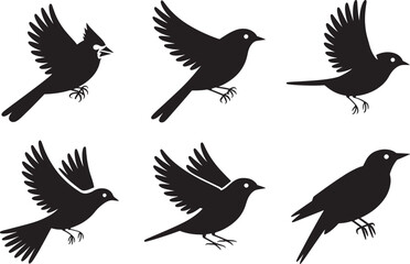 Silhouette Birds in Flight A Collection of Elegant Avian Designs