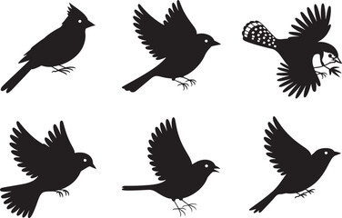 Obraz premium Collection of Six Silhouettes of Birds in Flight and Resting Poses