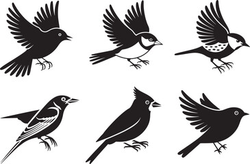 Obraz premium Six Silhouettes of Birds in Flight Elegant Avian Illustrations