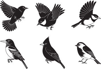 Obraz premium Collection of Six Elegant Bird Illustrations Black and White Avian Silhouettes