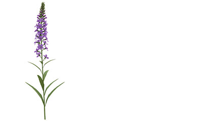 Naklejka premium Beautiful illustration featuring a violet flower against a pristine white backdrop