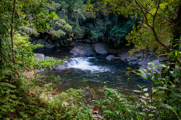 Crystal Cascades is a freshwater creek. The area features numerous cascade waterfalls and swimming holes in a rainforest habitat