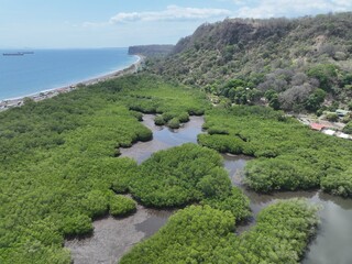 Puerto Caldera's Mangrove Meets the Pacific Coast
