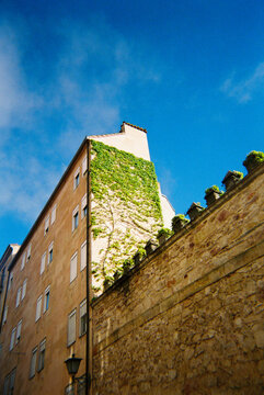 Building with ivy and blue sky in Galicia


