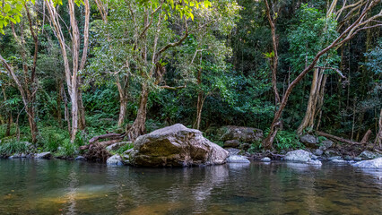 Crystal Cascades is a freshwater creek. The area features numerous cascade waterfalls and swimming holes in a rainforest habitat
