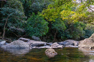 Crystal Cascades is a freshwater creek. The area features numerous cascade waterfalls and swimming holes in a rainforest habitat