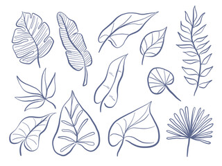 Line Art Botanical Leaf Collection. Aesthetic set of 12 tropical and organic leaf illustrations drawn in fine blue line art with diverse forms from heart shaped to palm fan perfect for nature visuals
