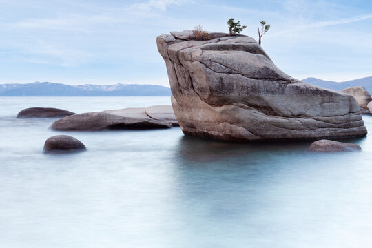 Bonsai Rock Lake Tahoe Nevada