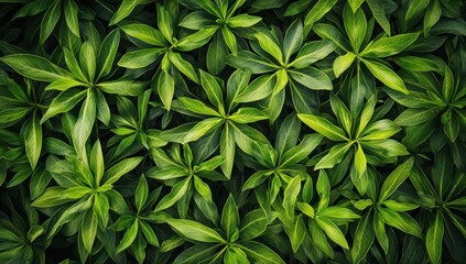 Fototapeta premium Close-up view of vibrant green leaves, dense foliage background, nature texture
