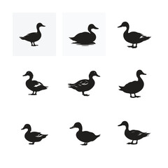 Obraz premium Cartoon Duck silhouettes collection vector illustration set