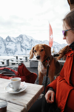 Dog stands on table while woman drinks coffee at the mountains