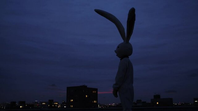  Silhouette de lapin g&eacute;ant sur un toit la nuit