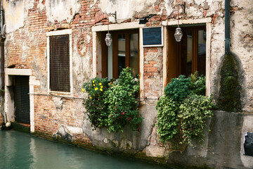 Falling plants grow out of windows facing narrow canal in Venice