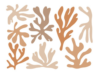 Botanical Coral Silhouette Collection. A collection of 8 abstract botanical silhouettes featuring coral inspired organic leaf shapes with soft flowing contours. Perfect for decor