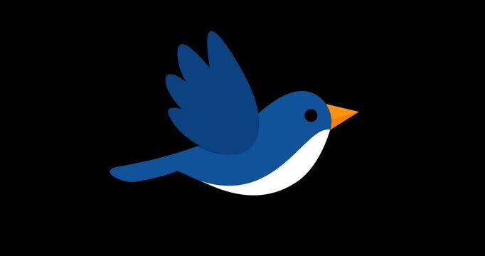 blue bird flying sequence animation