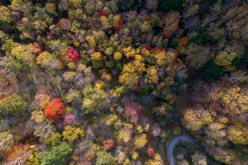 紅葉の谷(20201020)
