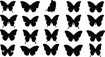 Fototapeta premium Butterfly Silhouettes: Black & White Diverse Wing Patterns Collection