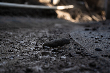Macro shot of a single stone centered on a sandy path