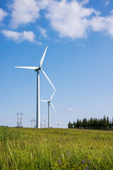 Wind turbines on the grassland under the blue sky and white clouds