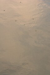 水面のイメージ