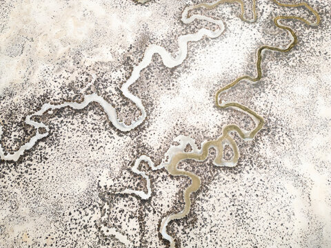 Tidal patterns of small rivers. Yorke Peninsula. South Australia.