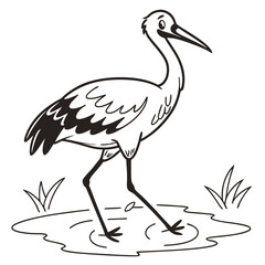 Obraz premium Cartoon stork walking in water with grass and simple lines on a white background bird vector