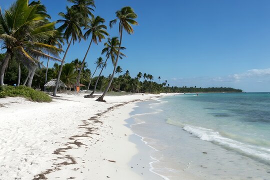 A serene tropical beach with pristine white sand swaying palm trees and crystal clear turquoise water under a bright blue sky with a few wispy clouds