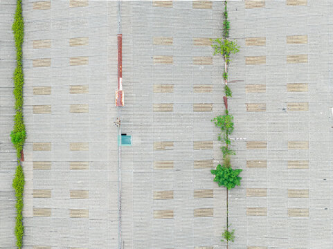 Industrial Rooftop Greenery
