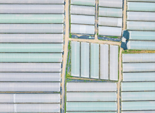 Aerial View of Modern Greenhouse Farm Agricultural Complex
