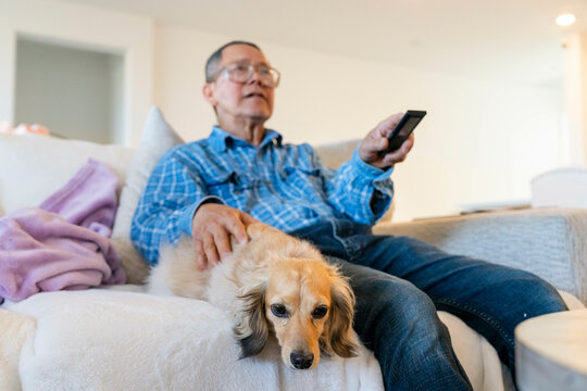 dog owner couch tv remote
