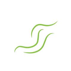 Fototapeta premium abstract green wave lines