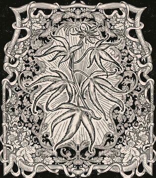 Botanical stylized Marijuana engraving
