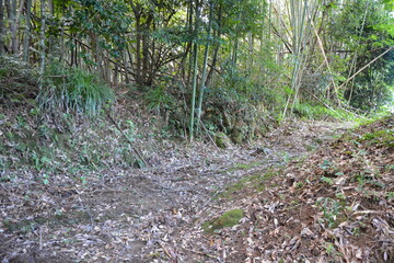 宮崎市　佐土原城（山城）の風景