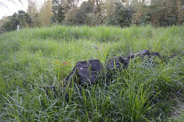 宮崎市　佐土原城（山城）の風景