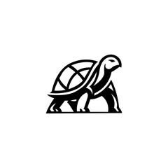 Turtle(1) 
