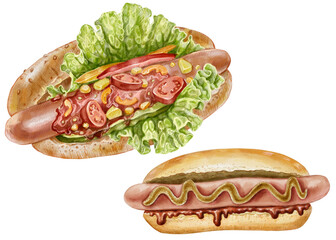 Watercolor illustration of two hot dogs with sausage and fresh vegetables. Fast food hand-drawn realistic illustration for designing restaurant menus, recipes, food blogs, articles about nutrition