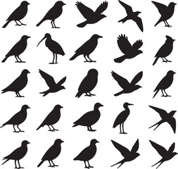 Set of Unique Bird Silhouettes – Flying and Perching Birds