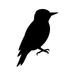 Fototapeta premium Silhouette of a Downy Woodpecker in Profile Against White Background