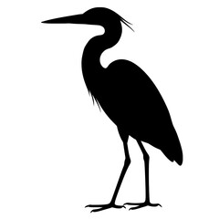 Fototapeta premium Elegant Great Blue Heron Silhouette with Graceful Contours