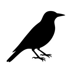 Obraz premium Vivid Golden Oriole Silhouette Against Bright Background, Artistic Bird Illustration