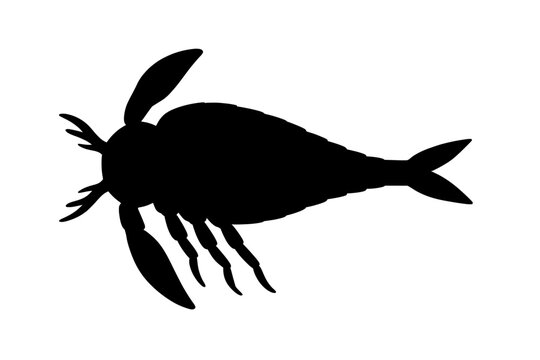 Silhouette of Eurypterus with Distinct Claws and Tail Fin on White Background