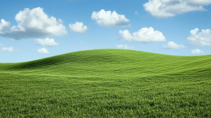Obraz premium A serene, green meadow with a lone tree in the distance, under a clear blue sky with fluffy white clouds.