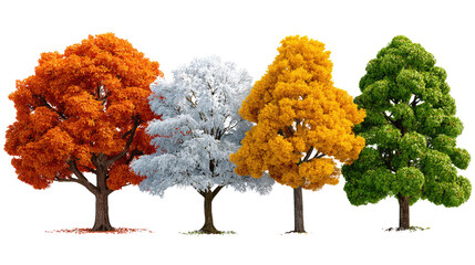 Four Seasons Symphony: A quartet of trees, each resplendent in the vivid hues of a different season. From the fiery reds of autumn to the verdant greens of summer.