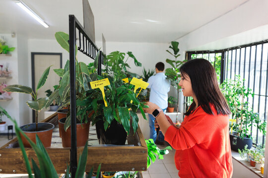 Couple pruning plant in a nursery garden center
