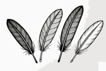 Obraz premium Elegant Feather Illustration-Black and White Detailed Feather Drawing-Fine Line Art of Bird Plumage-Artistic Feathers Design